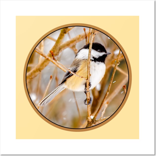 Black-Capped Chickadee Photograph Wall Art by Alpen Designs